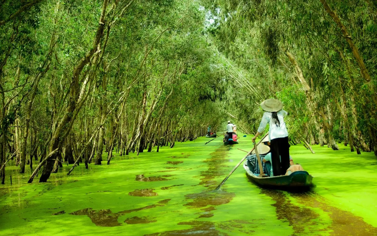 ha-tang-internet-fpt-an-giang