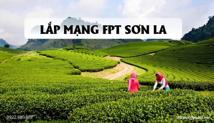 lap-mang-fpt-son-la (1)