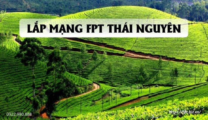 lap-mang-fpt-thai-nguyen (1)